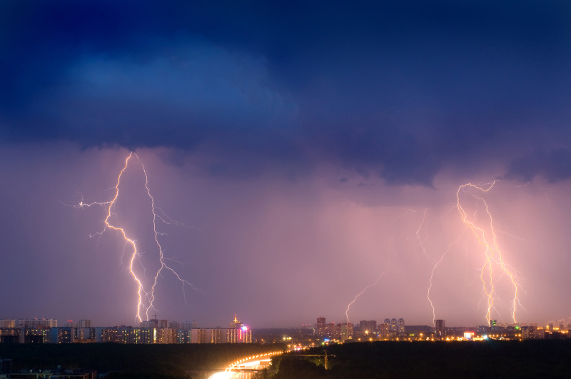    Фото: Yury Dmitrienko/shutterstock