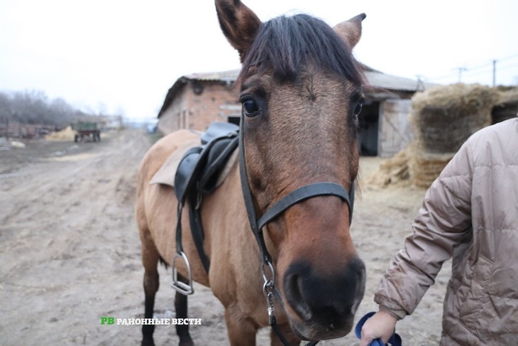    Фото из архива "РВ" Василий Шеин
