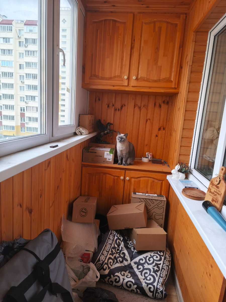 Кот тоже в недоумении. Куча коробок, банки 📦 