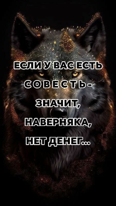 Мои фотоколлекции