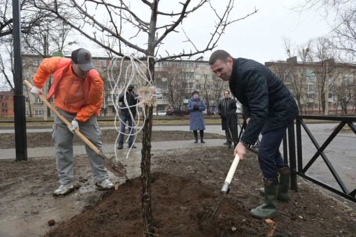 В Хабаровском крае снова выбирают места для новых скверов