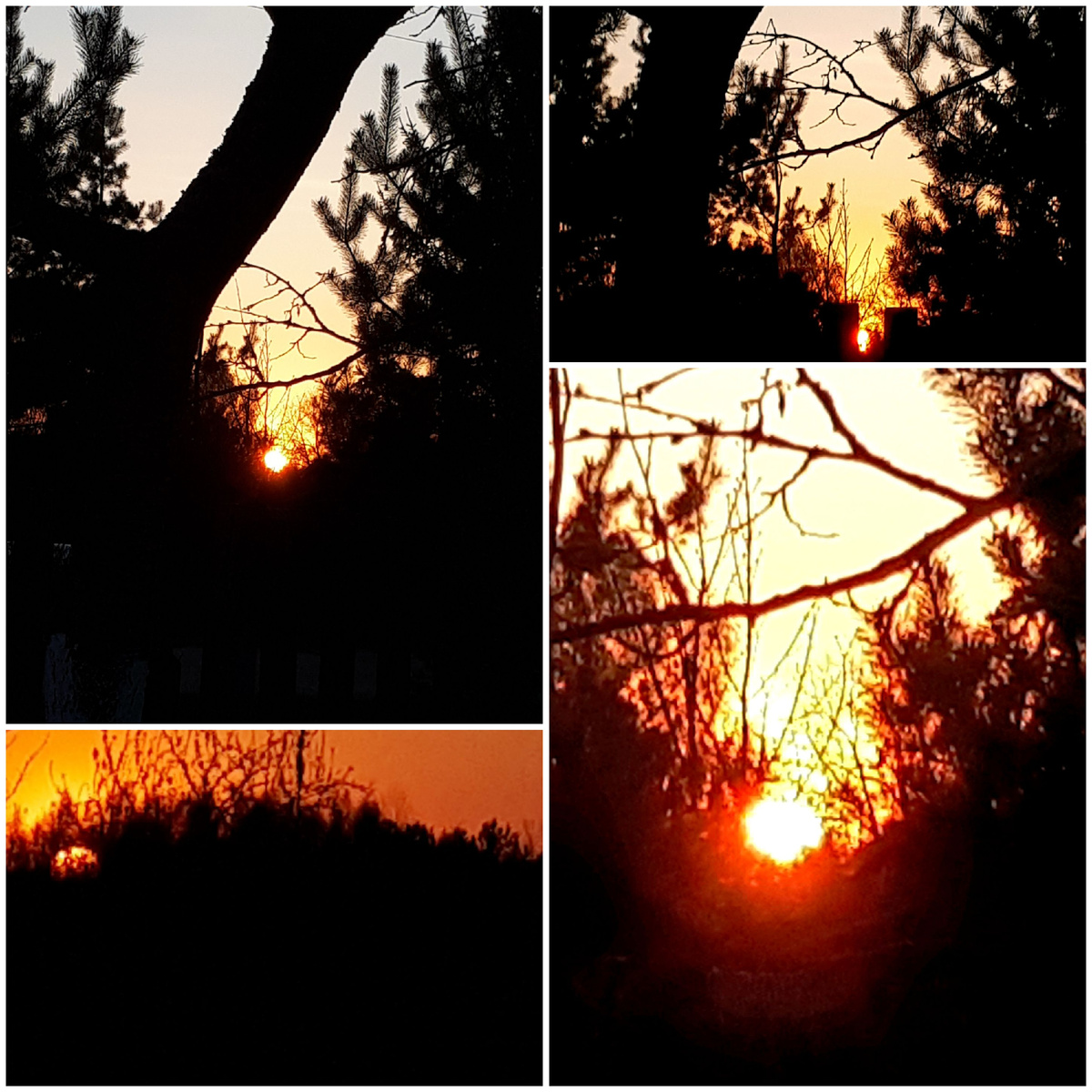 Коллаж автора 02.05.2026г.