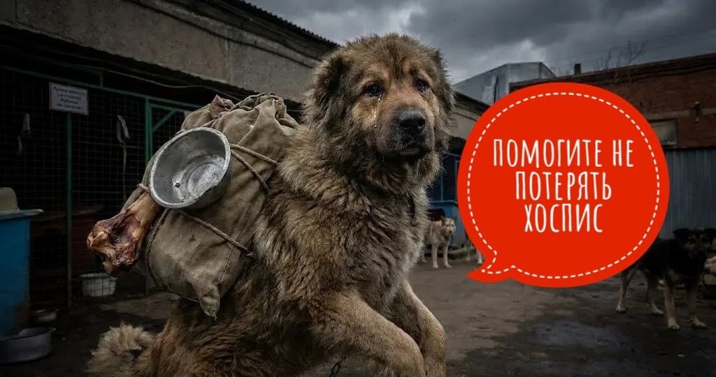 Помогите не потерять хоспис! Остаемся без приюта!