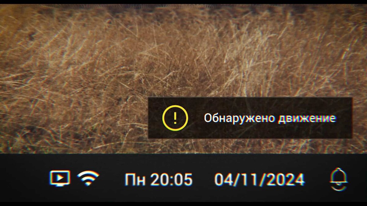    Кадр из фильма «Qara: Свидетель»
