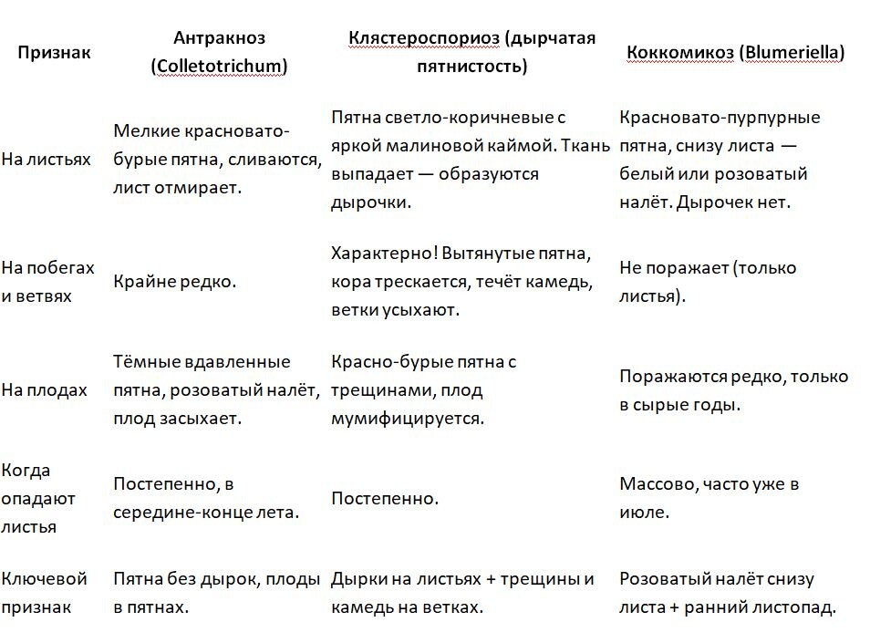 Таблица и фото Натальи Мироновой
