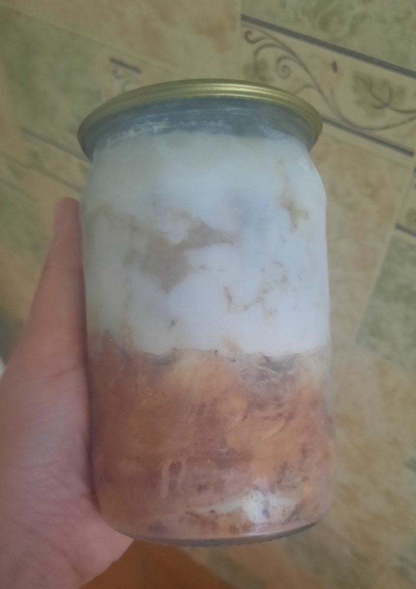 Моё фото. Одно мясо в тушёнке