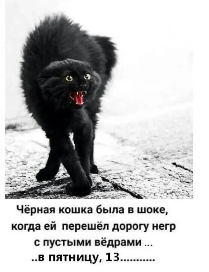 Фото из Яндекса. Спасибо автору. 