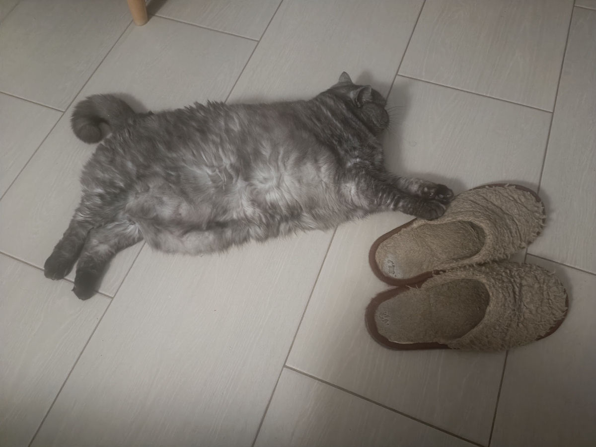 Это не мои, а мужнины. Но выглядит примерно  также🥰