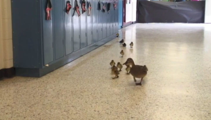 Строго по маршруту