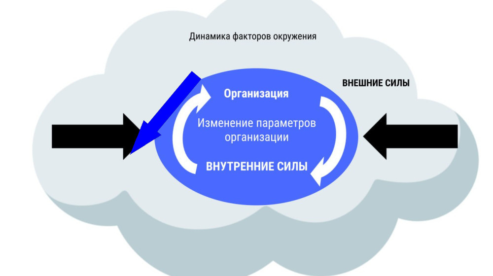    Почему люди застряют в своих привычках и не меняются даже под страхом