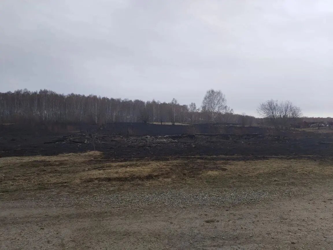    Фото: пресс-служба прокуратуры Томской области