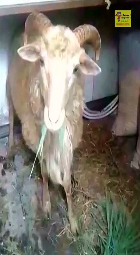 Не боимся )))