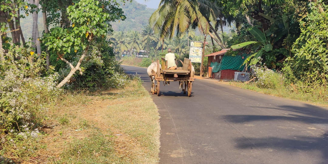 Автобусы на Северном Гоа