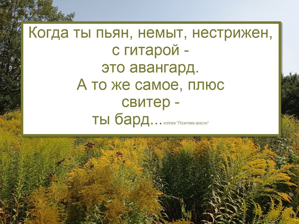 коллаж "Позитива красок", фото автора