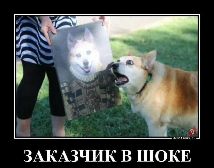 источник Яндекс-картинки