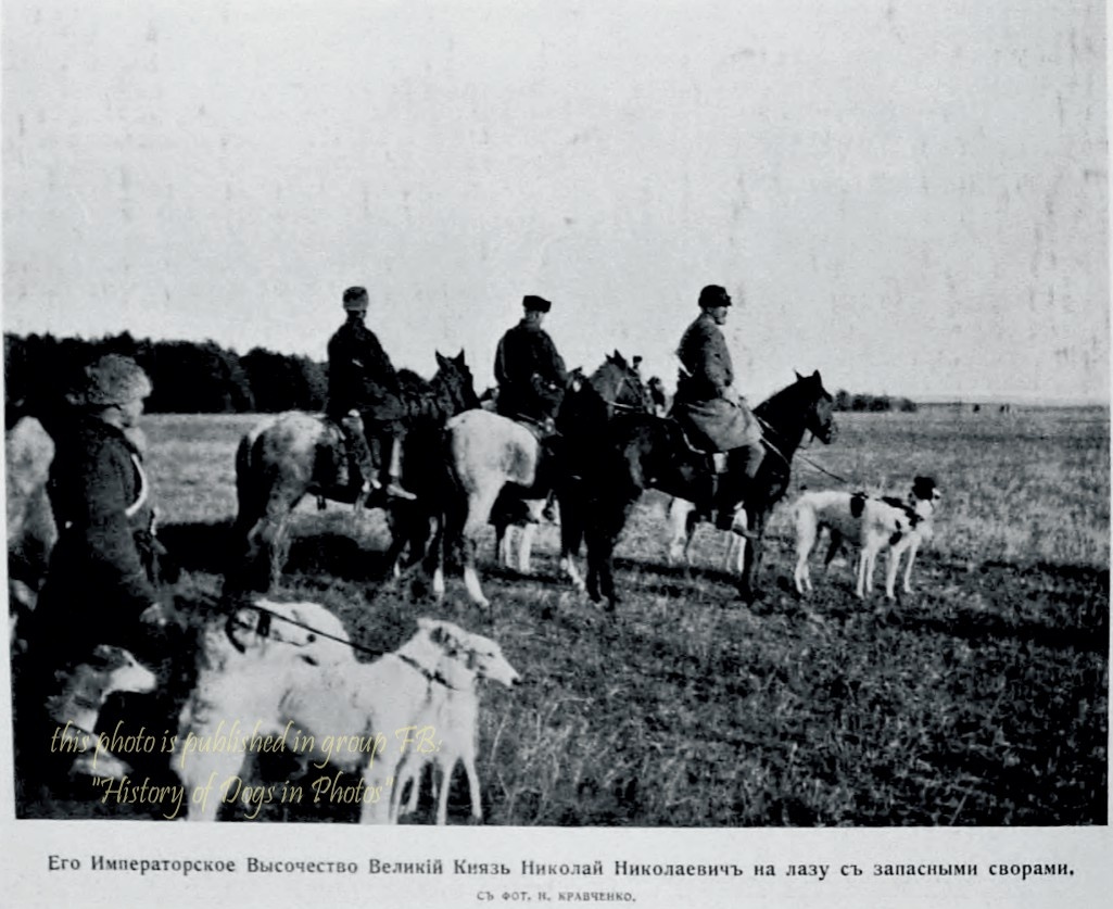 Источник фото https://dogs-history.ru/