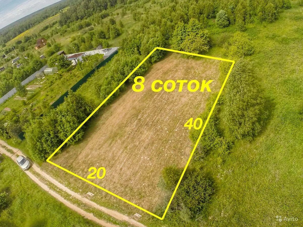 Фото с яндекса картинки