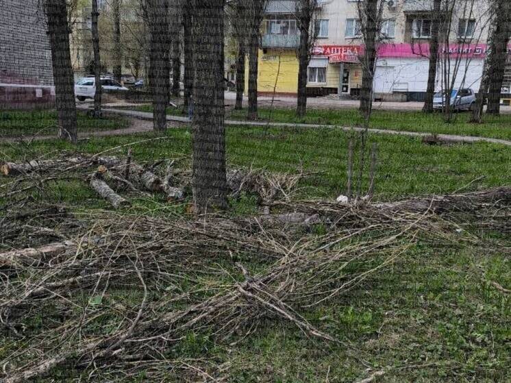     Фото: Липецкач / Telegram