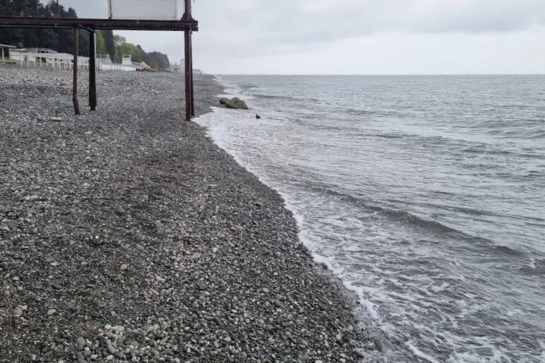 На берегу и в море в Лазаревском районе в Сочи загрязнений нет