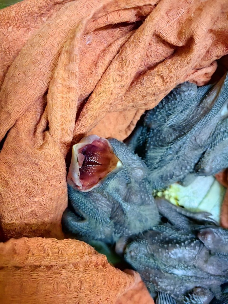 -2