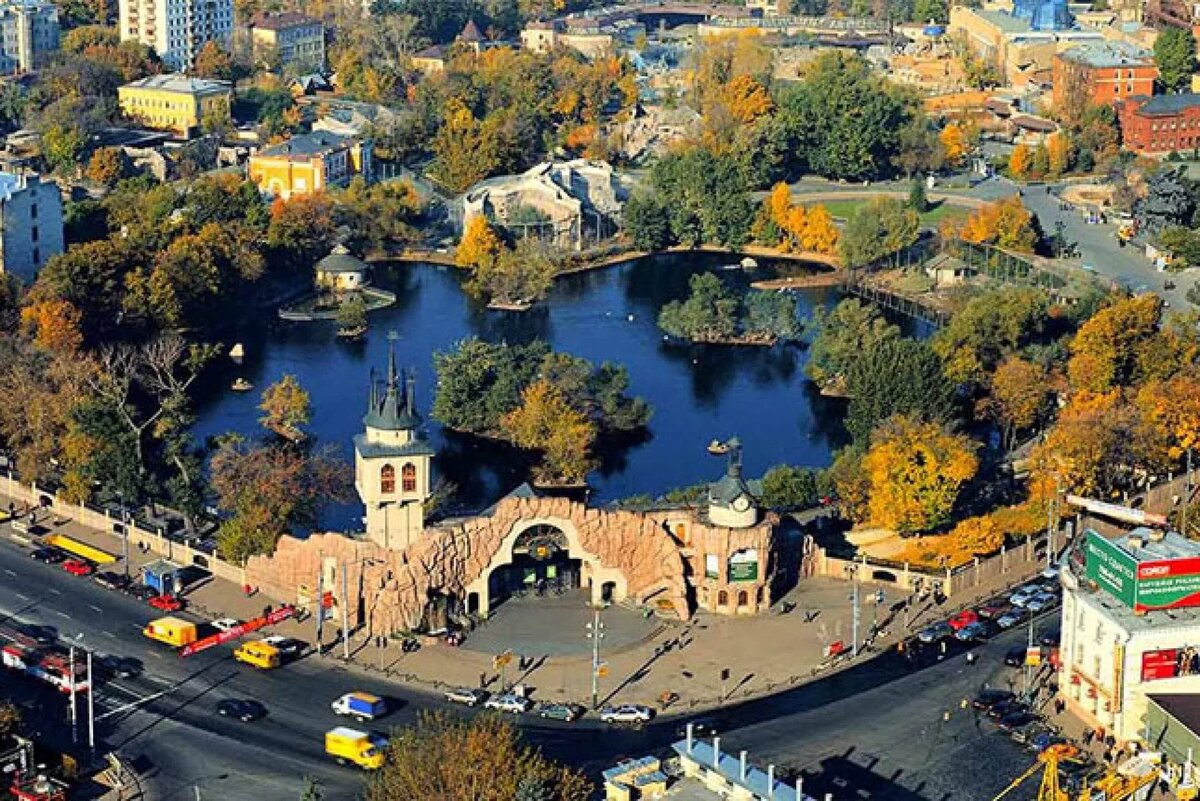 Бесплатное посещение Московского зоопарка в мае для всех: условия акции «Ранняя пташка»