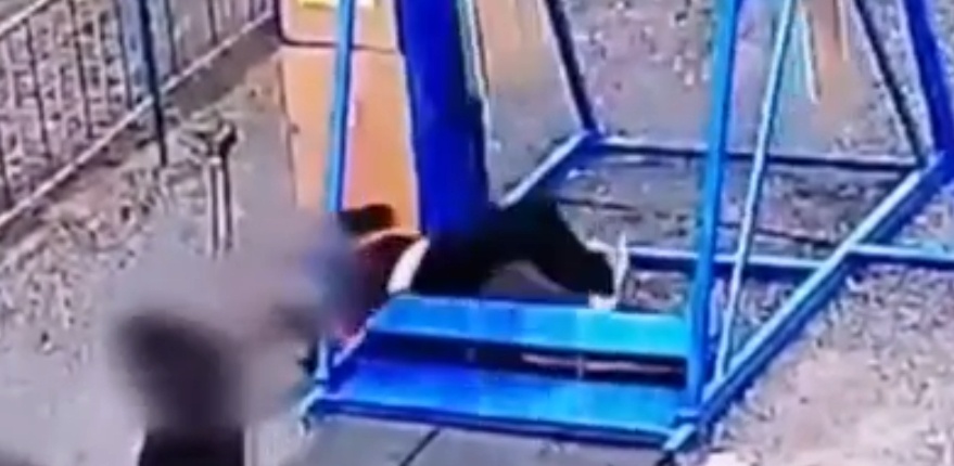    Фото: скриншот видео от Следственного комитета Белоруссии