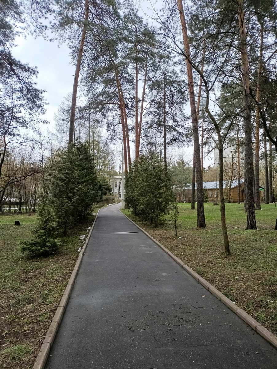 Приехали (фото автора). 