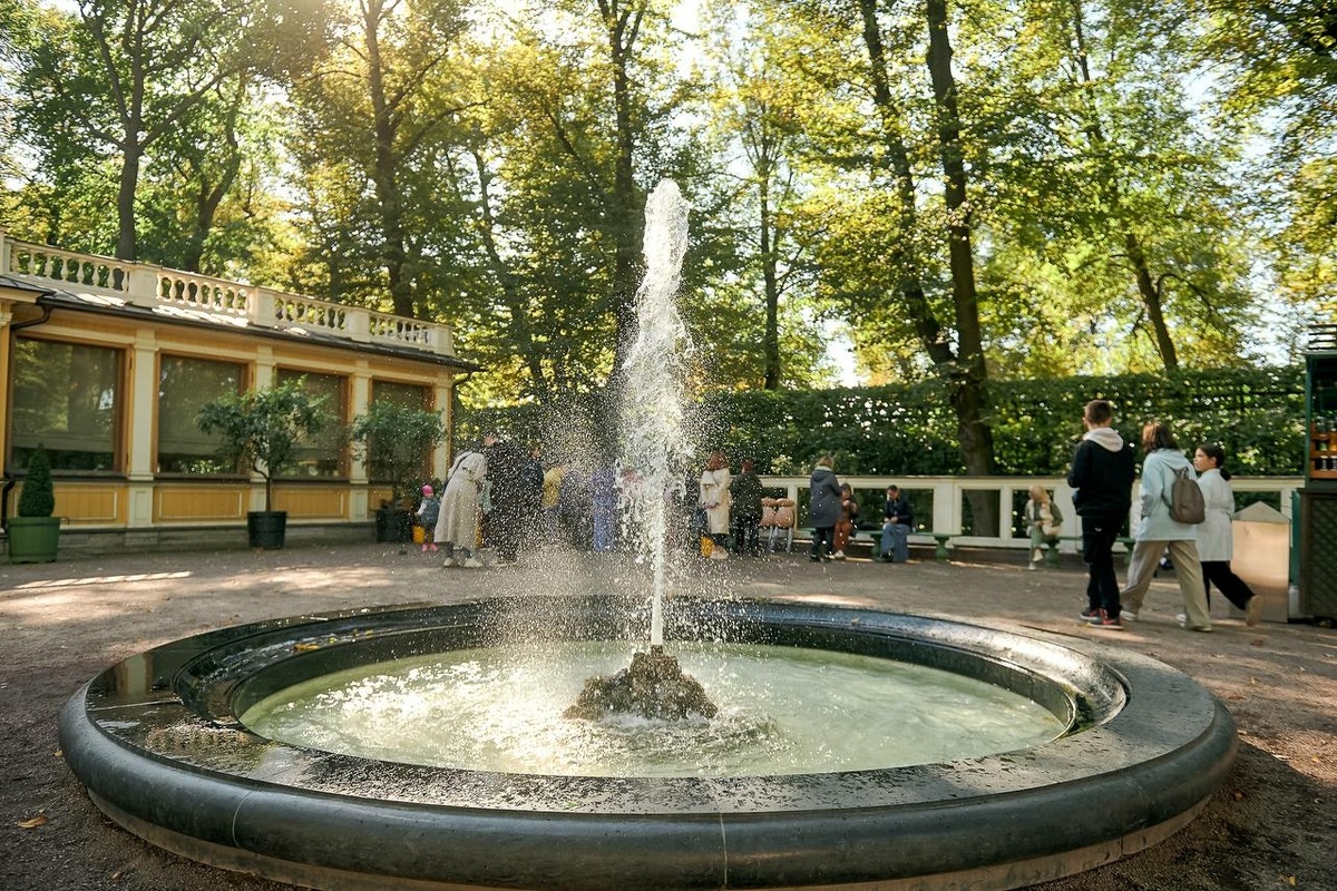 Фото: пресс-служба Смольного