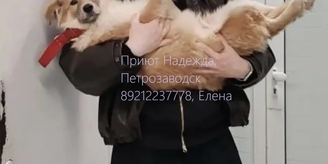 💔ЛЁВКА ВЕСЬ ПЕРЕЛОМАННЫЙ 💔