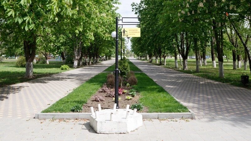      Фото: ИА «Победа26»