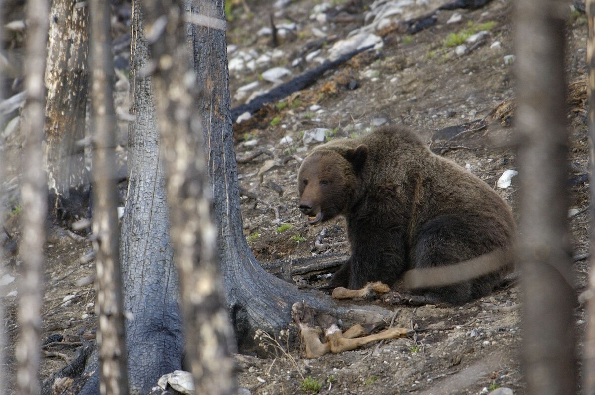     / Источник: © Global Look Press