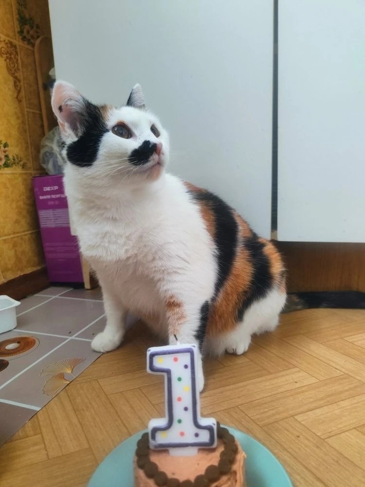 -2