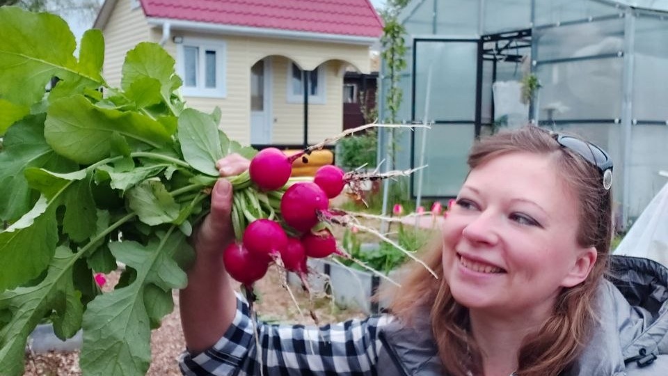 Что посеять в мае в саду, огороде и в теплице: точный график посевов по луне и без нее.