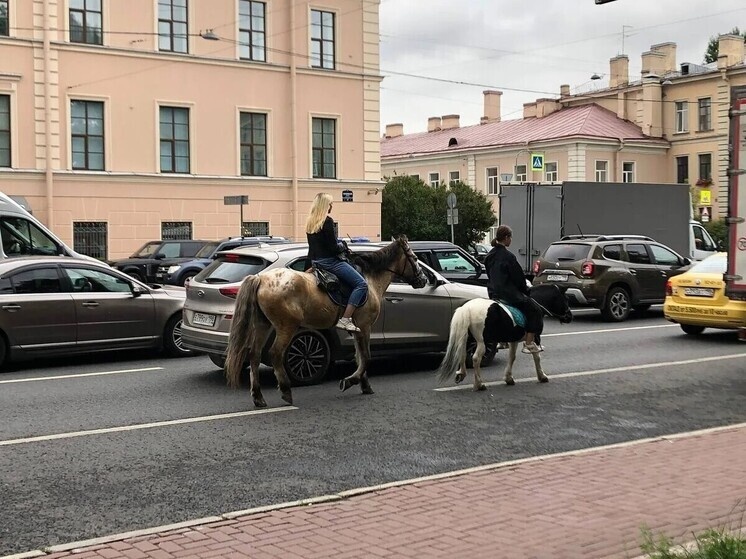     Владельцы карет не оборудуют ни поилки, ни кормушки. Фото: архив МК в Питере