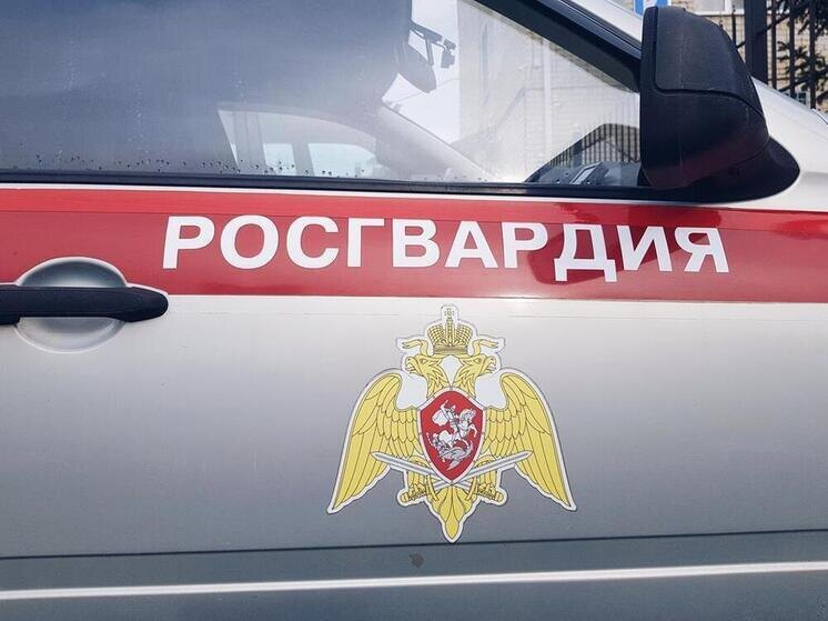     МК на Кубани