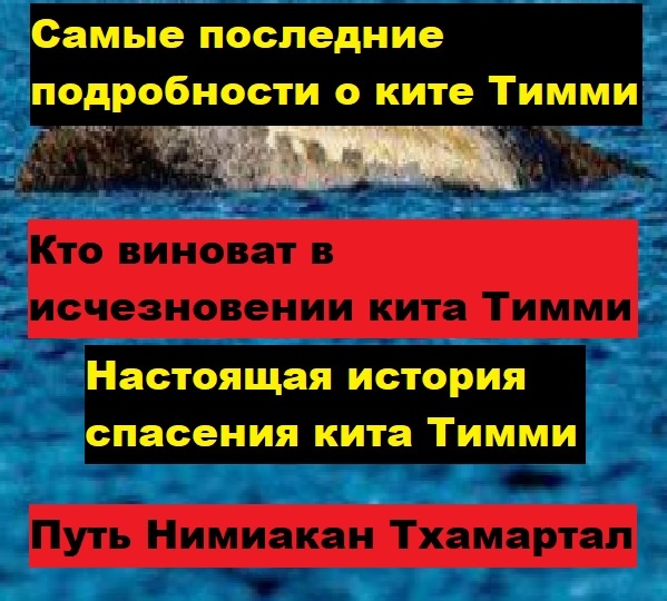 Кит Тимми исчез - последние подробности. Путь к Истинному Северу. Песнь спасения. Серебряные доспехи Девы-Хранительницы. Нимиакан Тхамартал