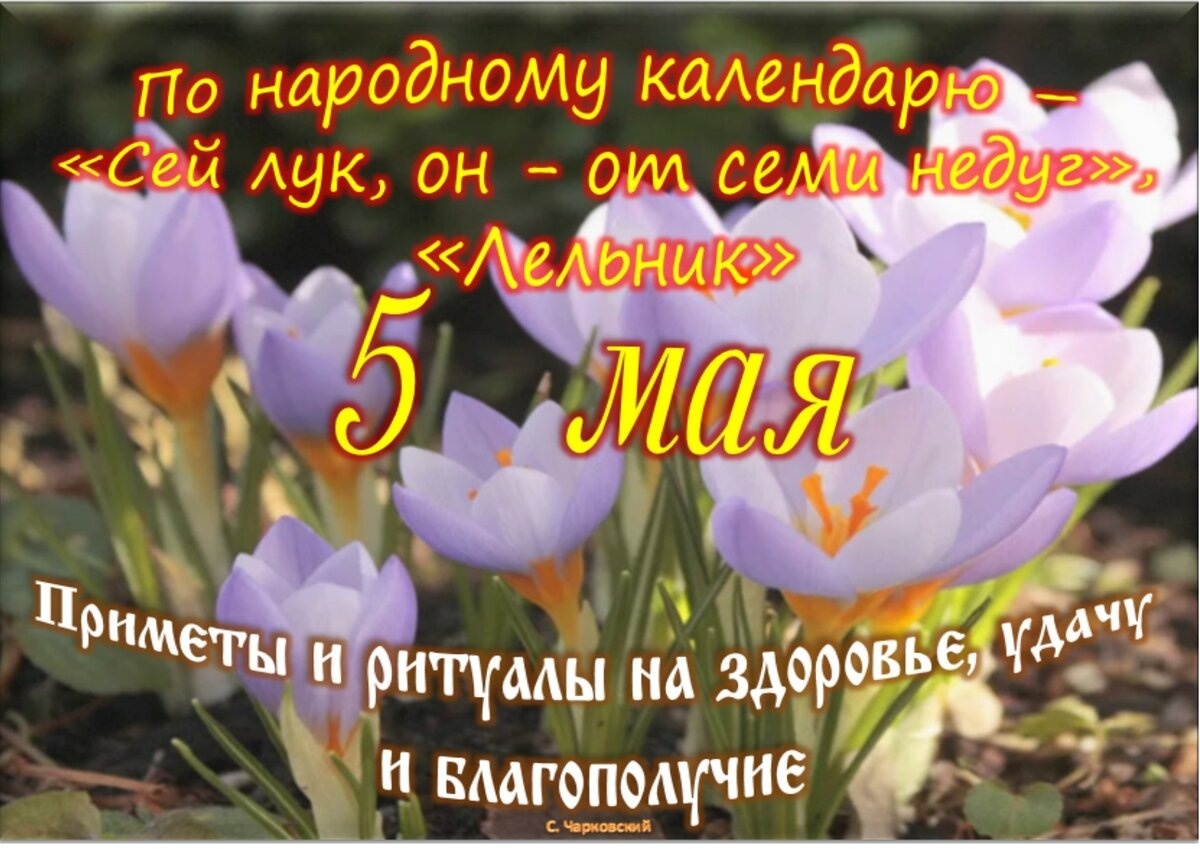 Встречаем новый день