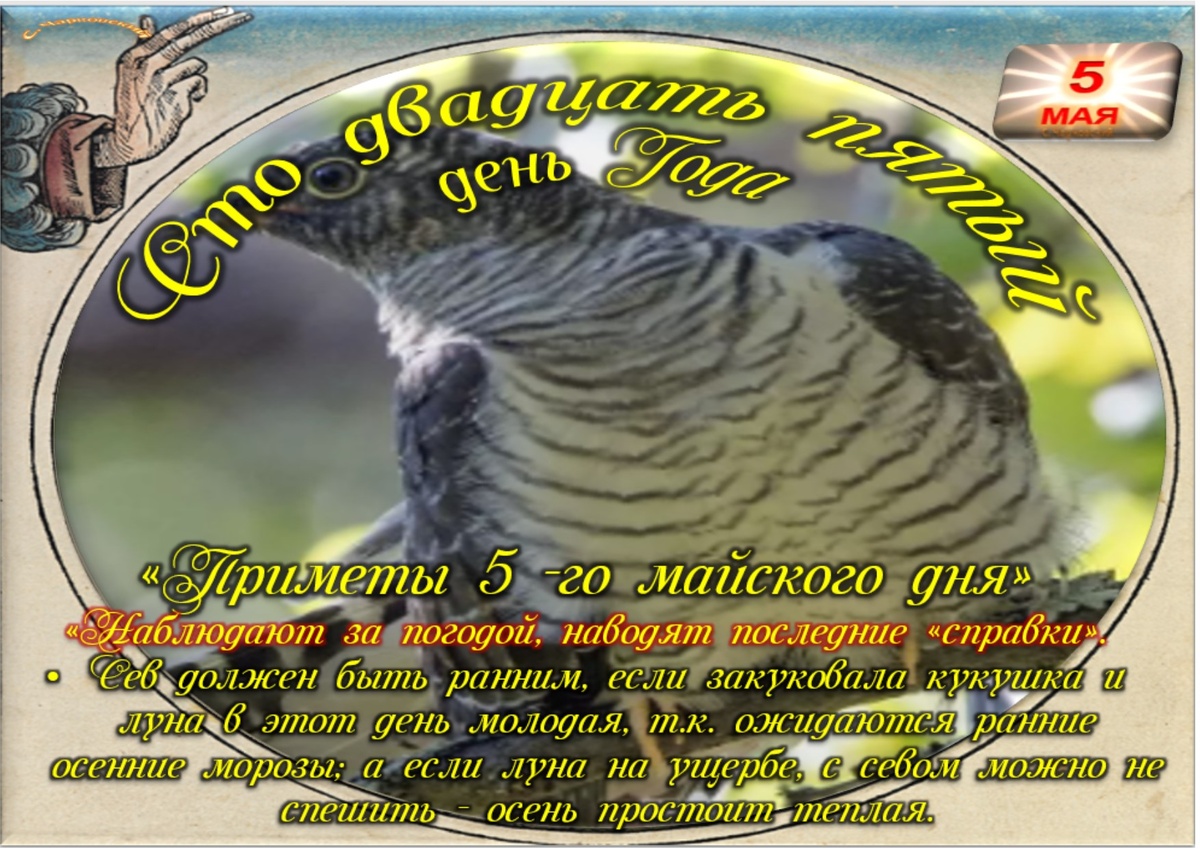 Встречаем новый день