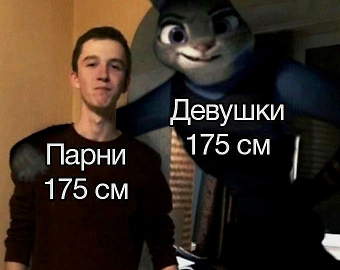 Мемы: смех без границ и перевода