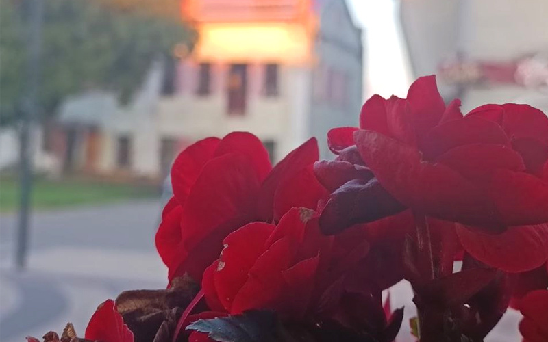   Фото Ивана Валюхова Валерия Стальная