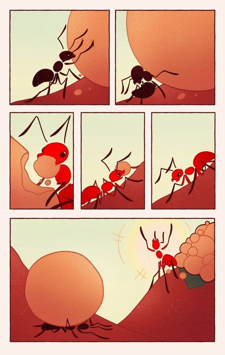 -2