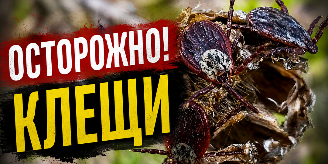 Невероятное нашествие клещей или проделки ЦРУ
