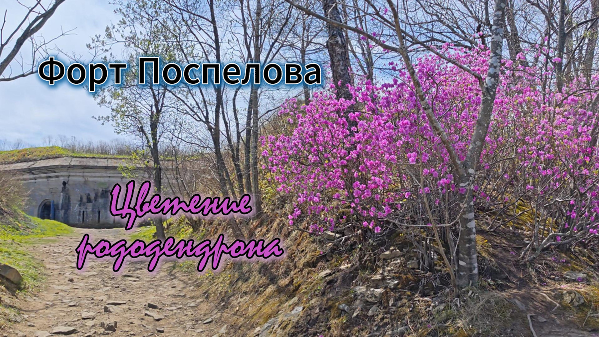 Форт Поспелова