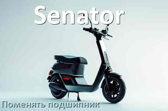 
Как на электросамокате Senator поменять подшипник колеса переднего и заднего