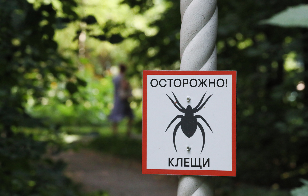 Владимир Гердо/ТАСС