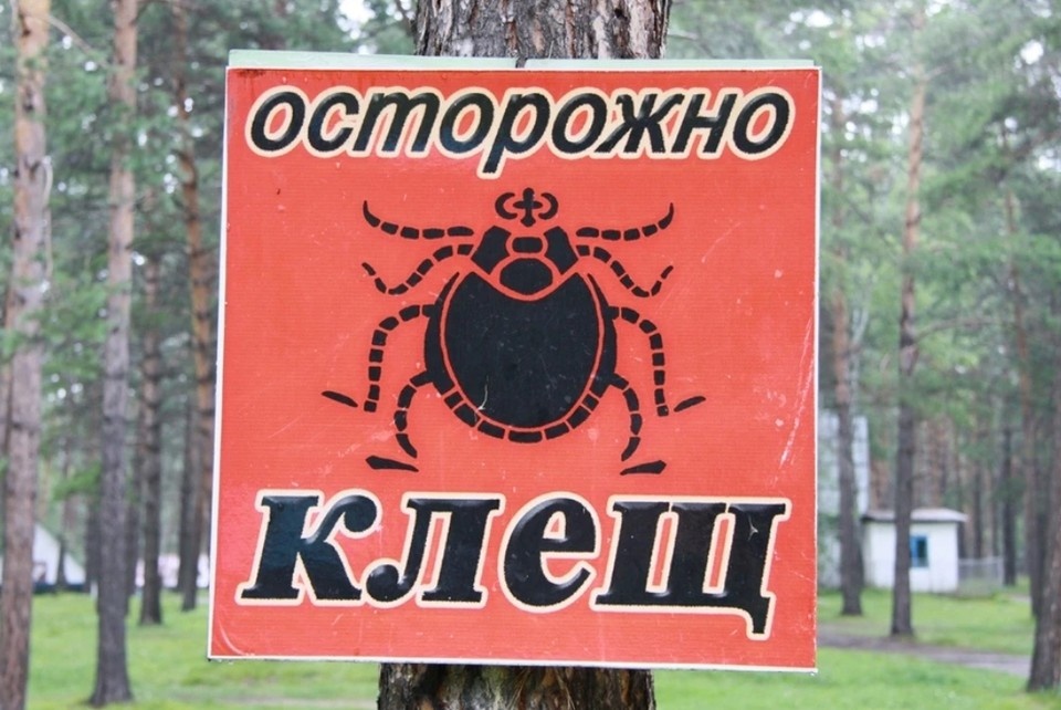    Специалисты напоминают о мерах защиты при выезде на природу Олег УКЛАДОВ