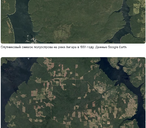 Блогер показал на Google Maps масштабы вырубки лесов в Иркутской области. Тысячи гектаров выглядят «заплатками» посреди тайги. Это легальные