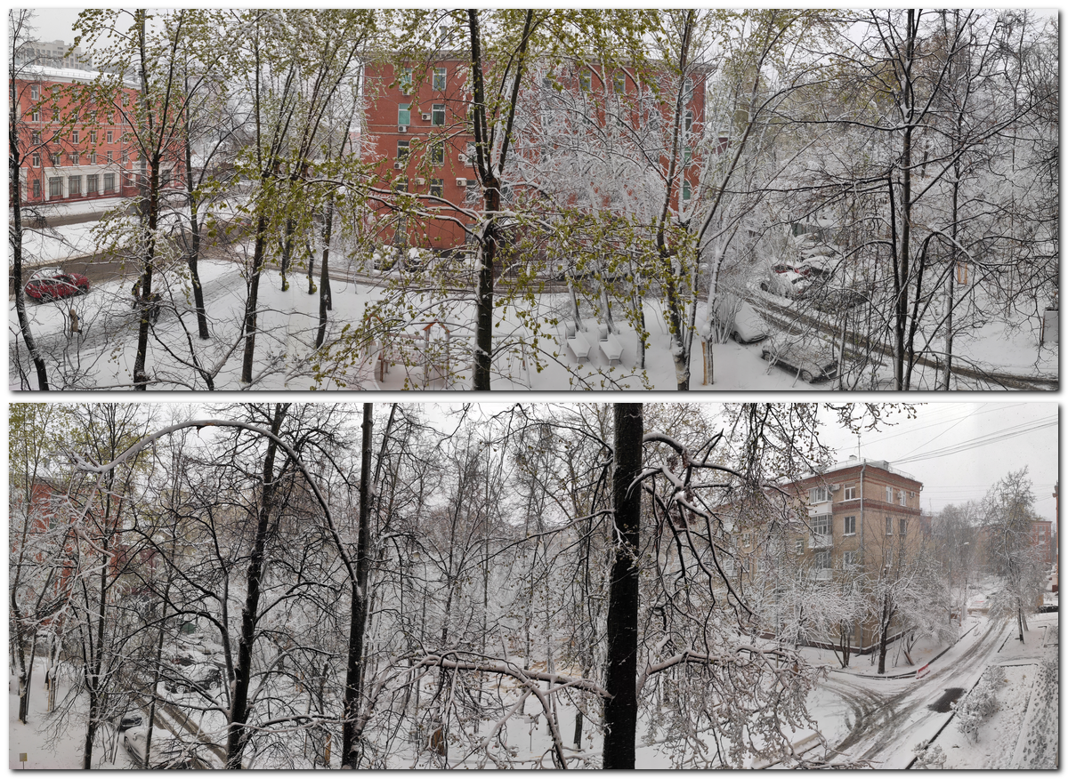 27.04.2026 г., 9 часов утра