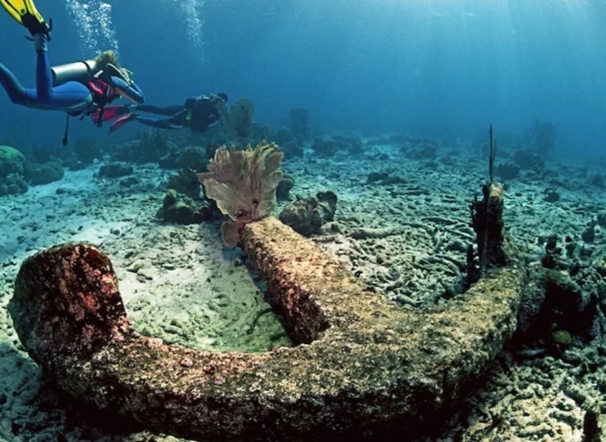 Фото с ocean.ru