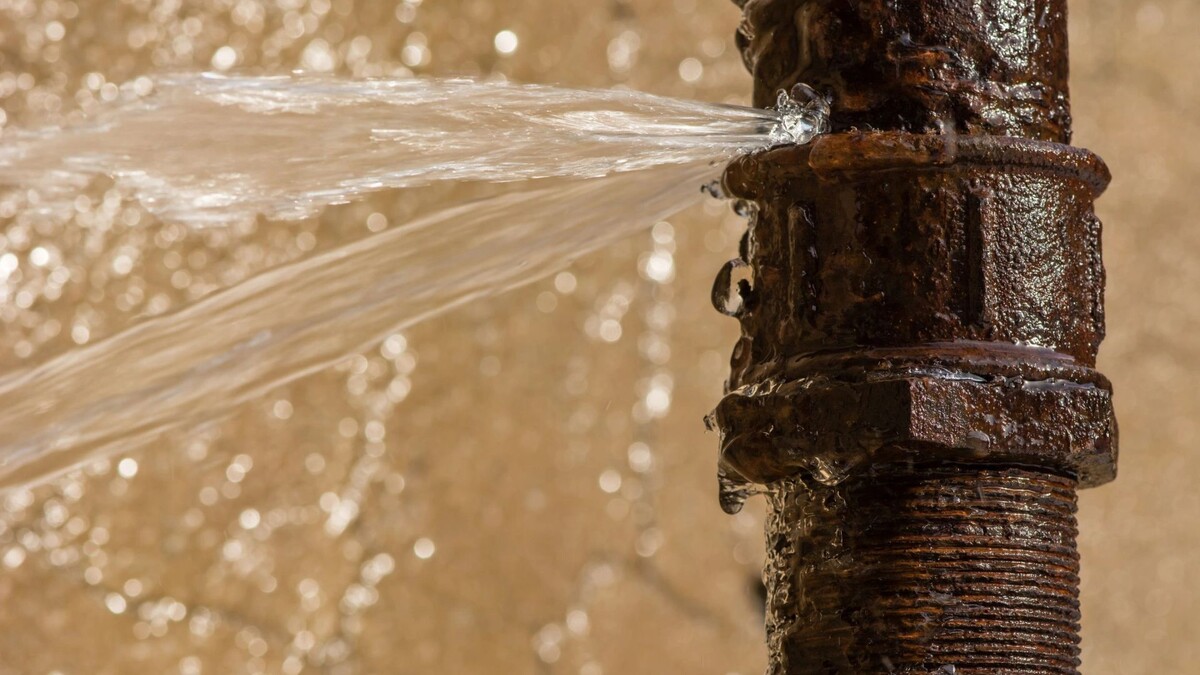    Фото: IanRedding/Shutterstock/Fotodom